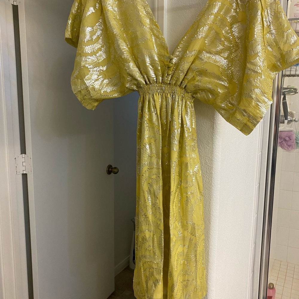 Beautiful Adam Lippes Dress